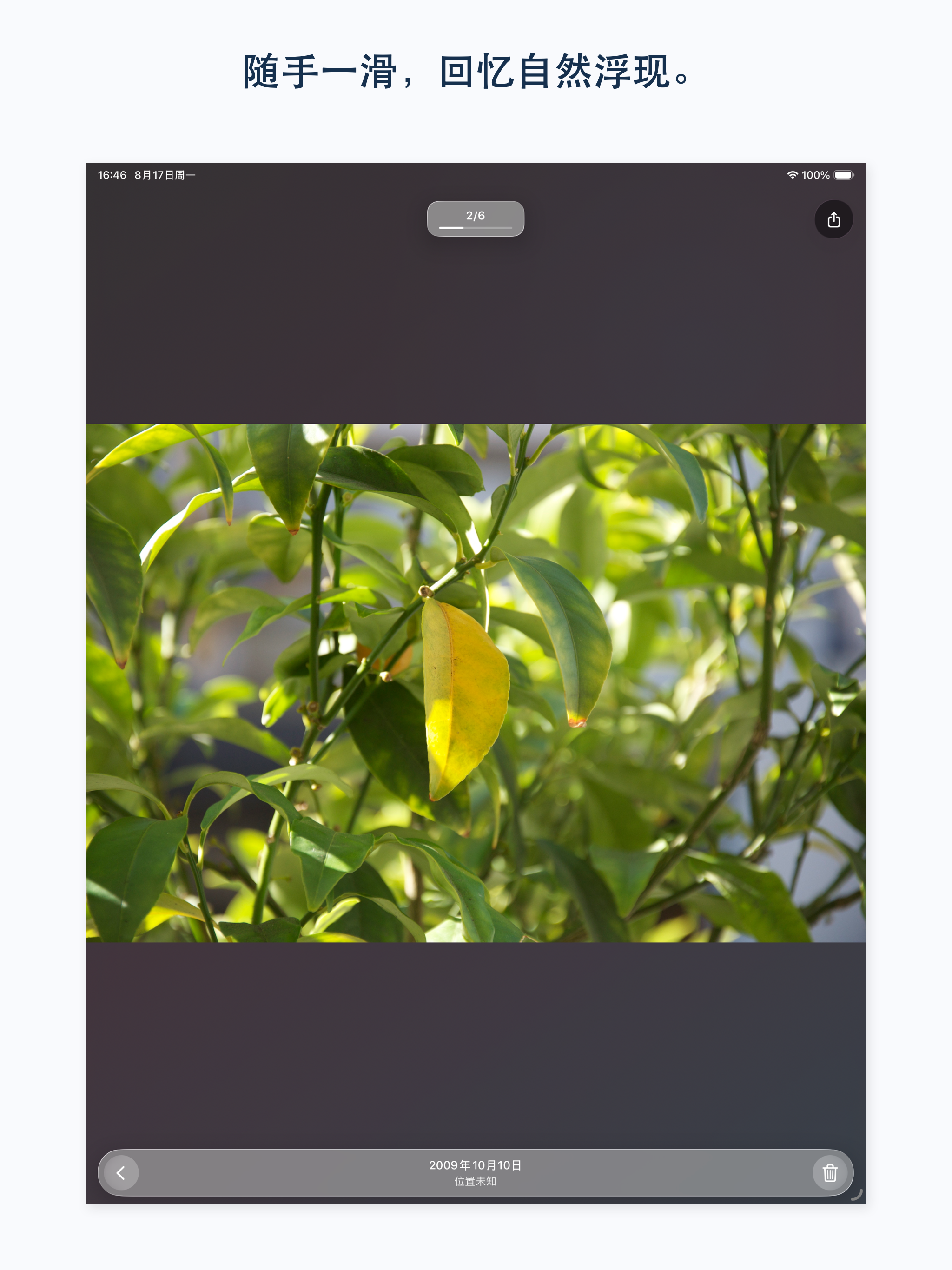 随忆 iPad 随机回忆界面